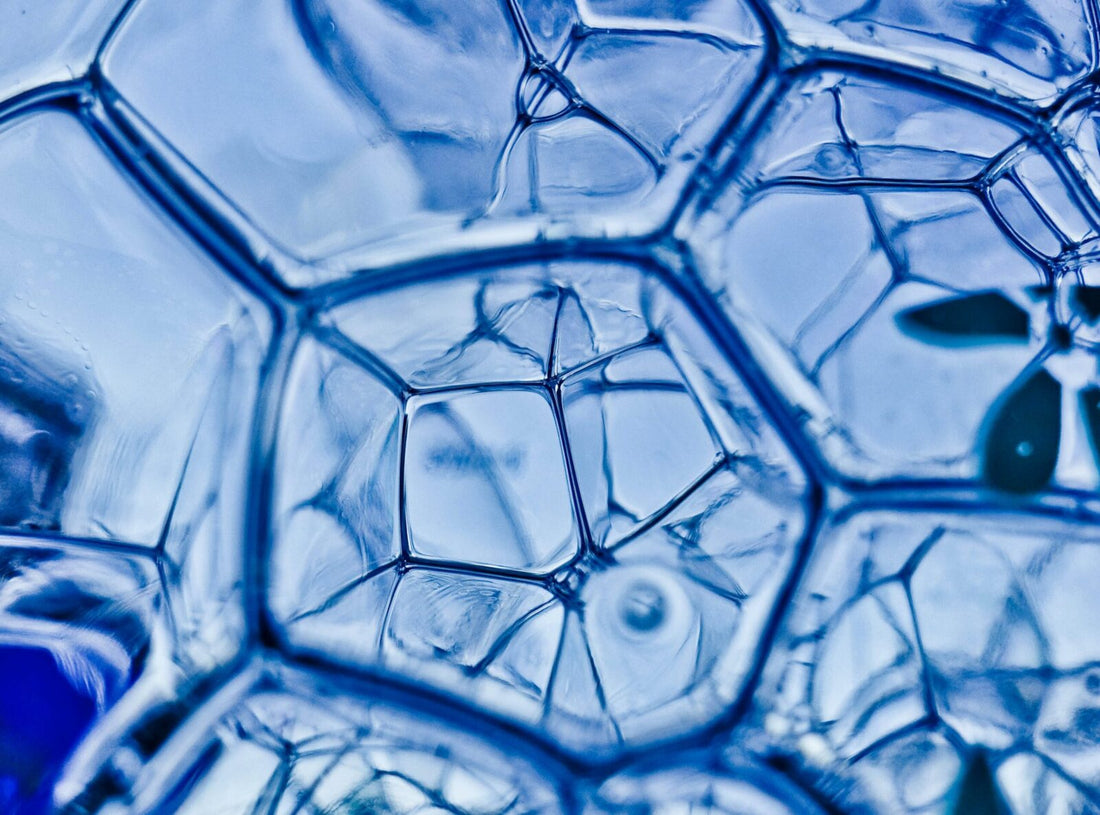 INGREDIENTES QUE REJUVENECEN LA PIEL: GUÍA CIENTÍFICA CON PÉPTIDOS, EGF Y ACTIVOS BIOTECNOLÓGICOS