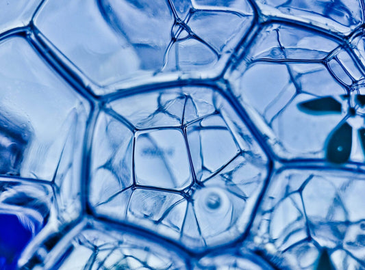 INGREDIENTES QUE REJUVENECEN LA PIEL: GUÍA CIENTÍFICA CON PÉPTIDOS, EGF Y ACTIVOS BIOTECNOLÓGICOS
