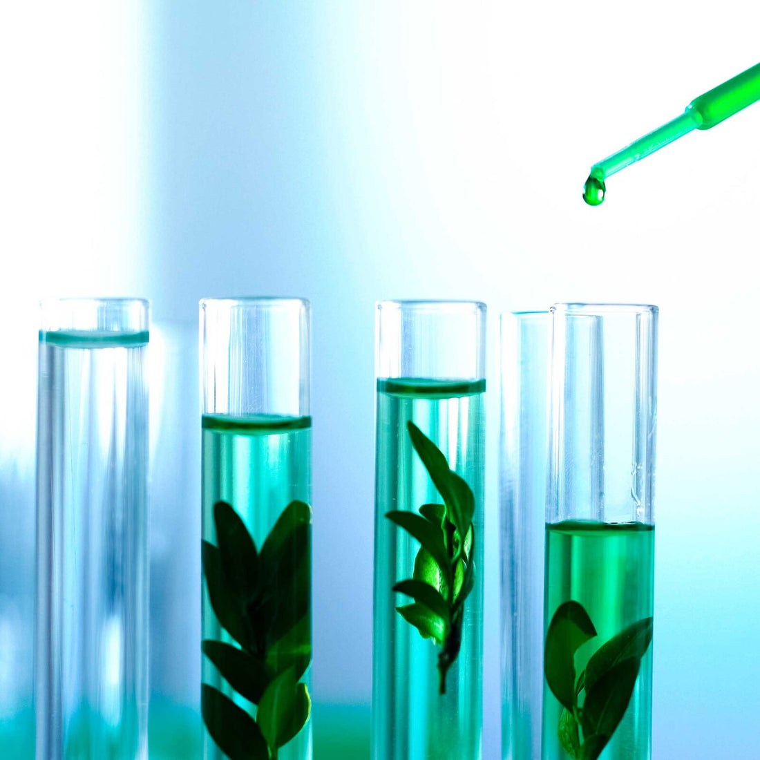 cremas LOV2B somos ciencia