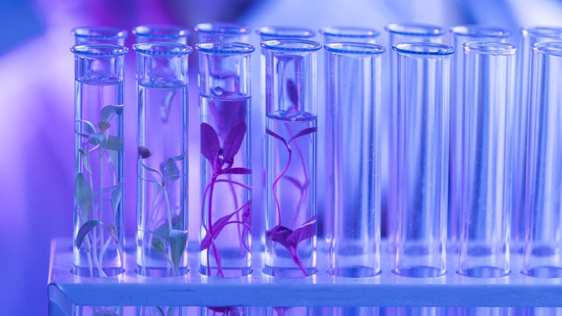 EPIGENÉTICA Y COSMÉTICA BIOTÉCNOLOGICA: LA REVOLUCIÓN QUE ESTÁ TRANSFORMANDO EL FUTURO DE LA PIEL