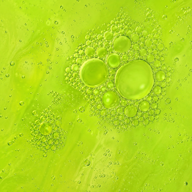 Extracto de Castaño de Indias ecológico · Cobiophitonic GL
